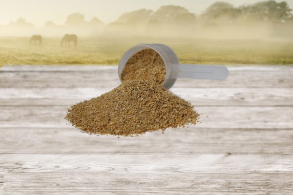 Equine-PRO