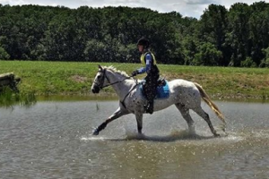 Another Equestrian Makes The Switch