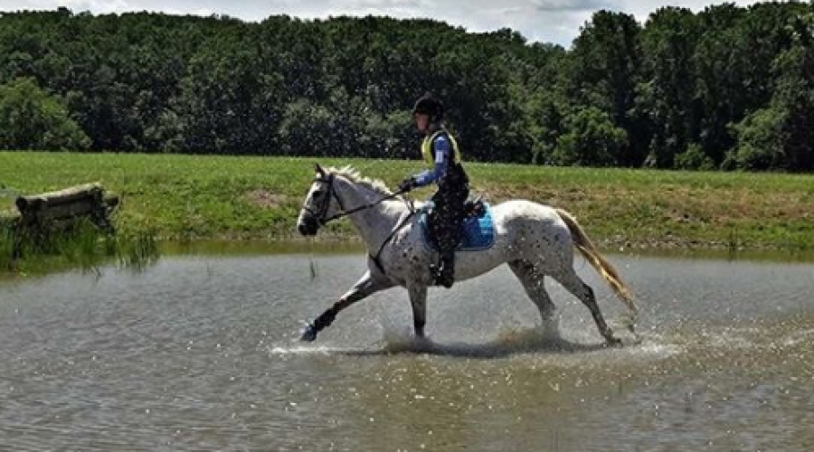 Another Equestrian Makes The Switch