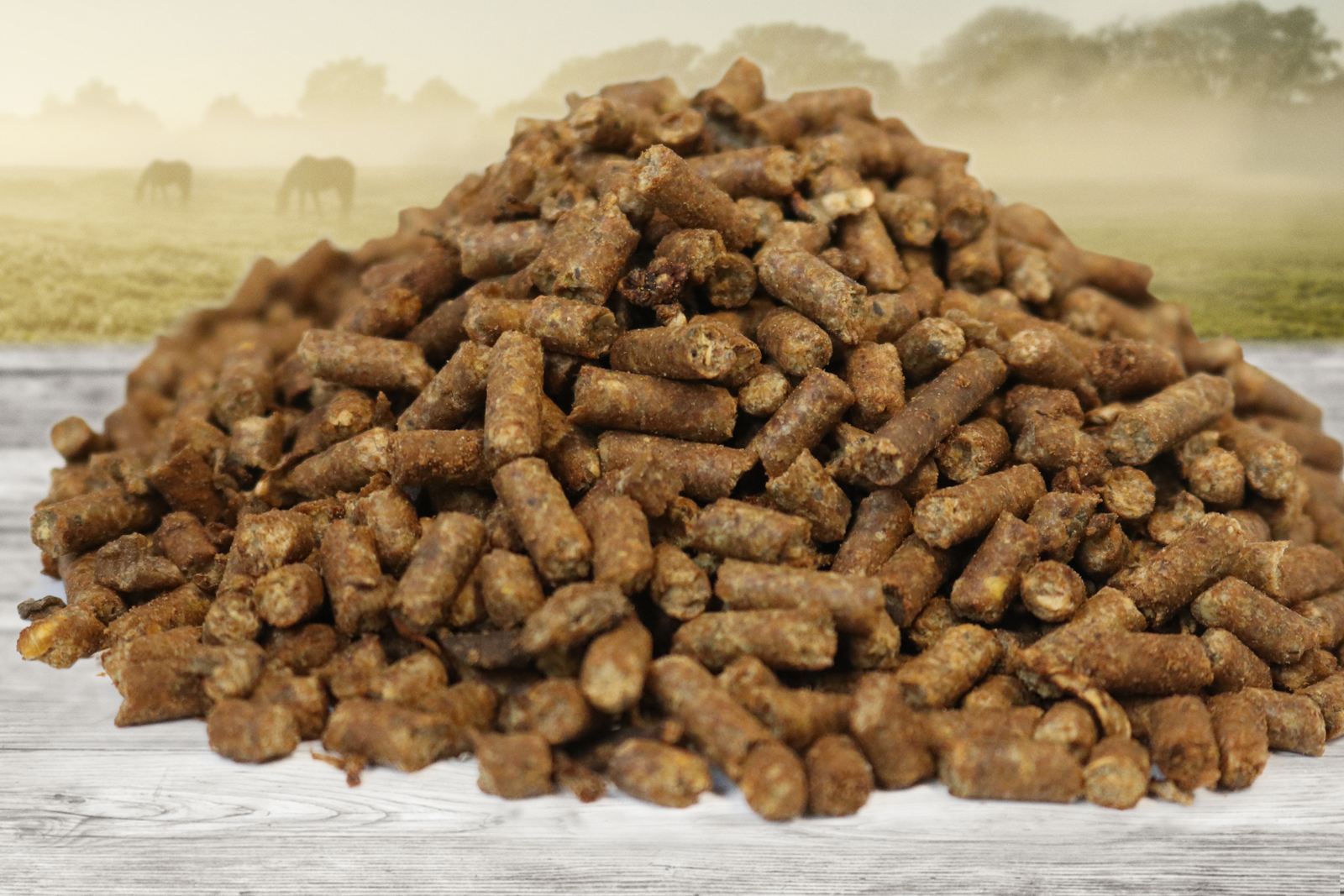 Equine Feeds High Quality Nurtition For Horses Advantage Edge