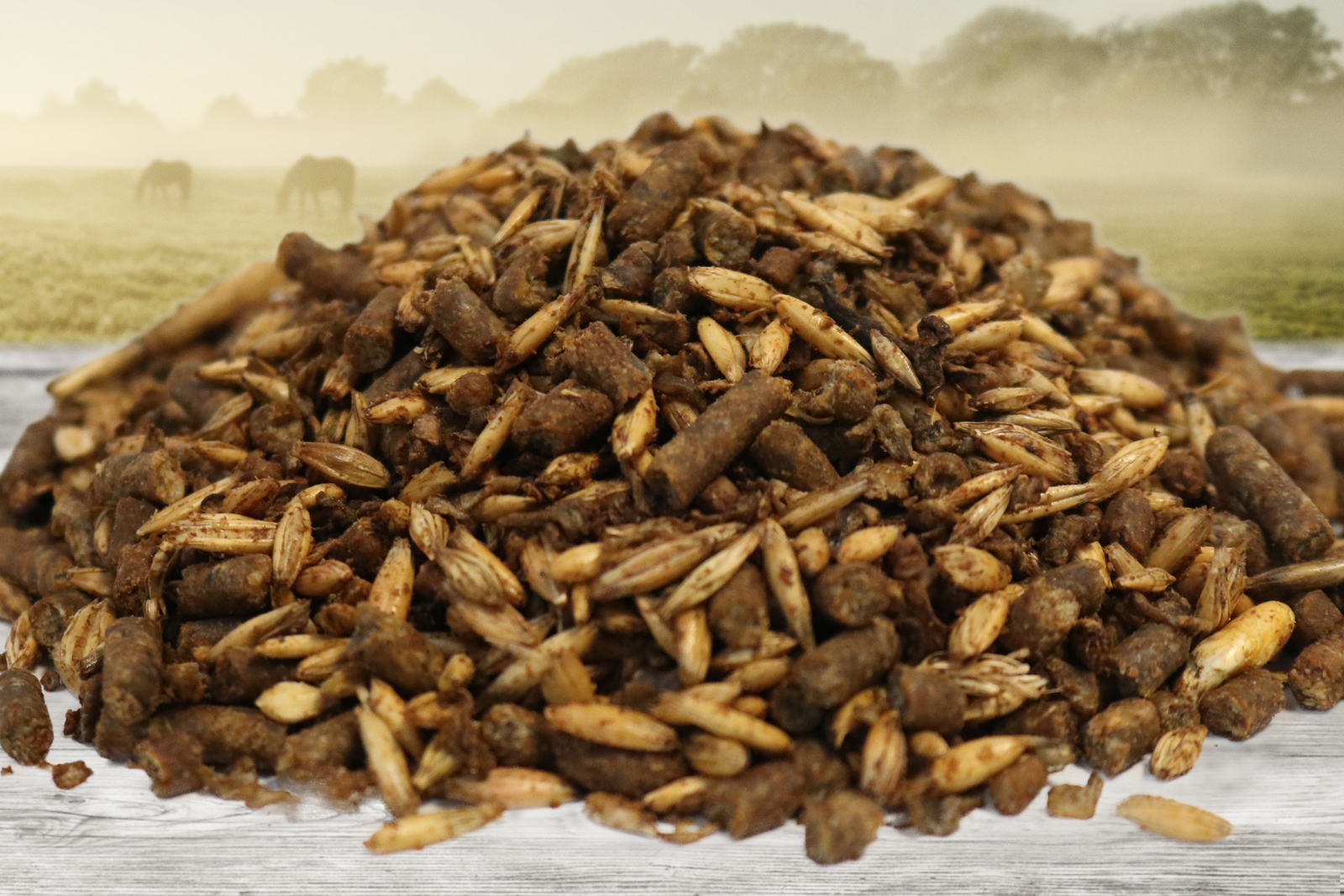 Equine Feeds High Quality Nurtition For Horses Advantage Edge