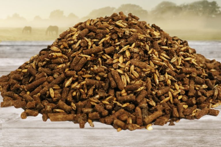 Equine Feeds High Quality Nutrition For Horses Advantage Edge