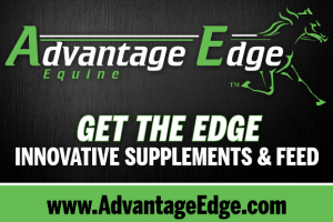 Advantage Edge At Black Book Standardbred Sale