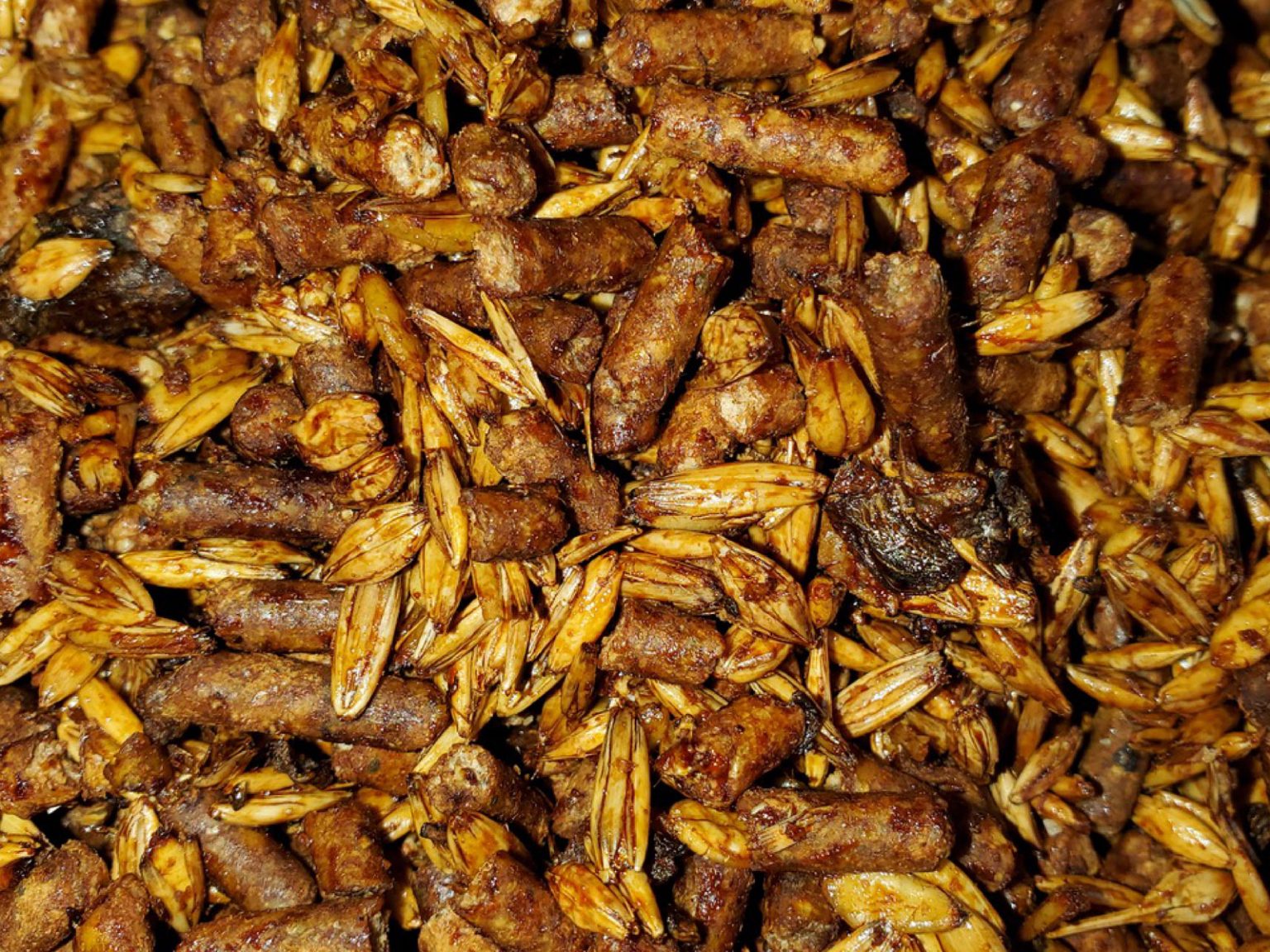 Equine Feeds High Quality Nutrition For Horses Advantage Edge Equine Feeds High Quality Nutrition For Horses Advantage Edge