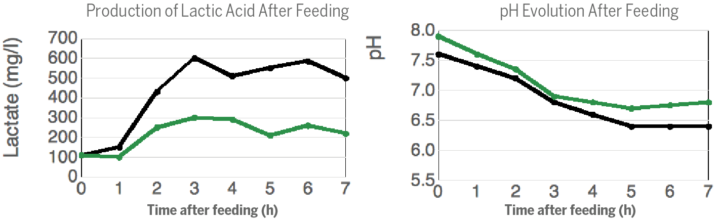 Actisaf® Limits Lactic Acid Production & Reduces Caecal pH