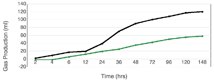 Actisaf® Reduces Starch Fermentation in Horses Prone to Laminitis As expressed by gas production, starch fermentation in horses prone to laminitis is lowered by Actisaf® supplementation.